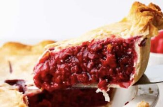 Classic Raspberry Pie Recipe | The Recipe Critic