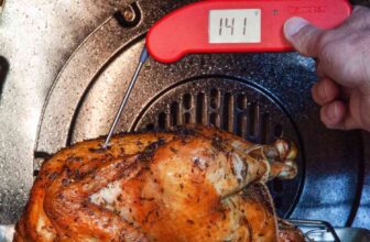 The Themapen ONE Is on Sale