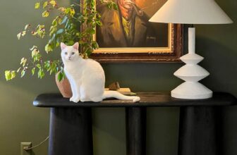 12 Beautiful Moody Paint Colors for Your Walls | Thrifty Decor Chick